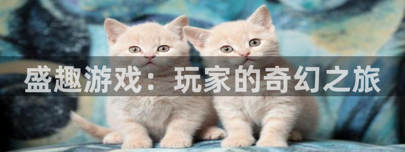 盛趣游戏：玩家的奇幻之旅