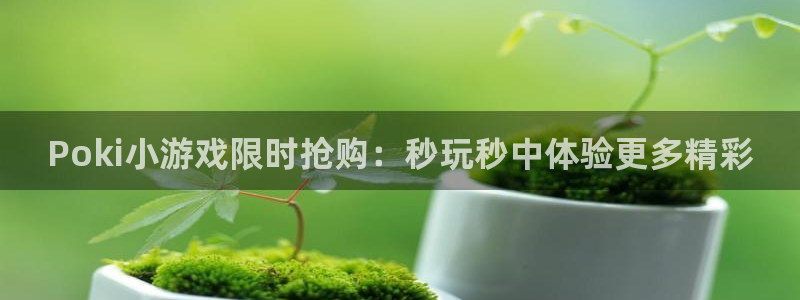 Poki小游戏限时抢购：秒玩秒中体验更多精彩