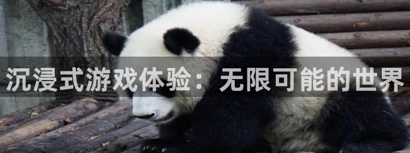 米乐棋牌是不是很多人机?