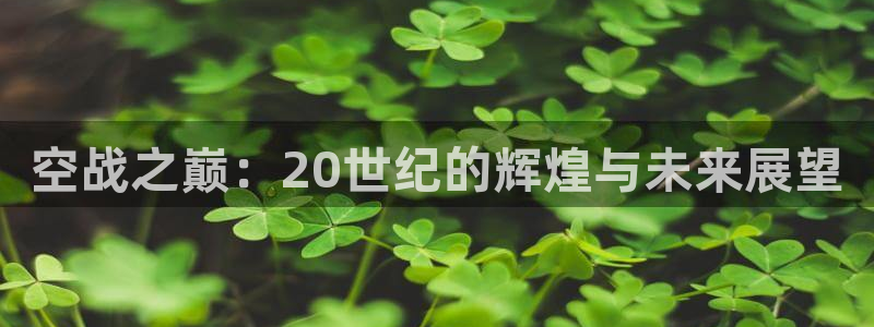 m6米乐网官网