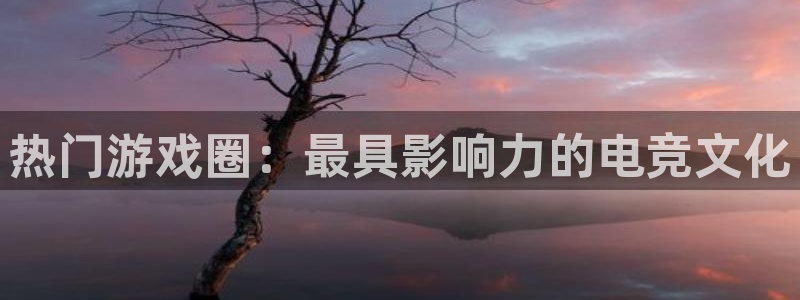 米乐m6网站：热门游戏圈：最具影响力的电竞文化