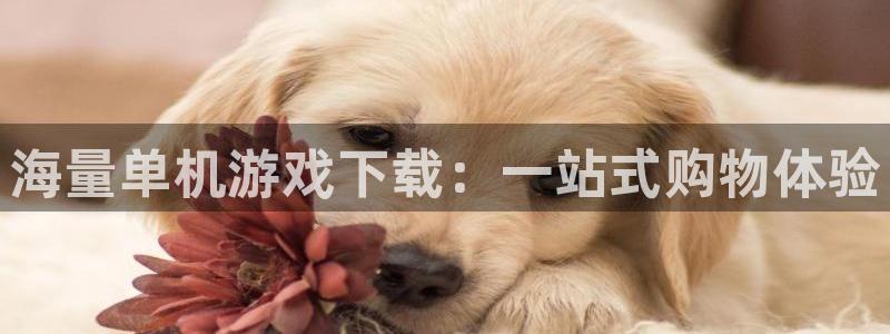 米乐m6平台入口