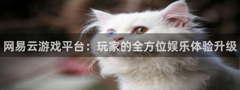 易游app官方下载：网易云游戏平台：玩家的全方位娱乐体验升级